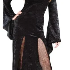 Sultry Sorceress Adult Costume