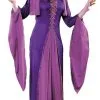 Medieval Princess Adult Costume -Mens Costumes Sales Store 411 768 FW1059