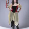 Gypsy Plus Size Adult Costume -Mens Costumes Sales Store 511 768 cs136