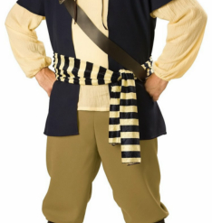 Pirate Rogue Adult Plus Costume