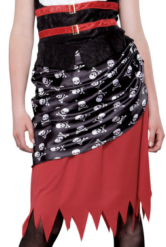 Skull Pirate Wench Adult Costume
