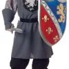 Valiant Knight Plus Size Adult Costume -Mens Costumes Sales Store CC01620