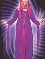 Medieval Princess Plus Size Adult Costume