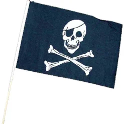 Skull & Crossbones Pirate Flag