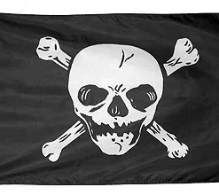 Pirate Flag 3x5