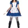 American McGee's Alice Costume -Mens Costumes Sales Store mad alice costume