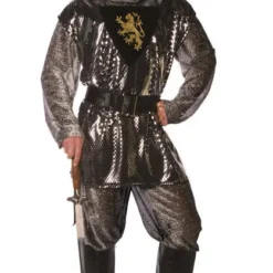 Lancelot Adult Costume